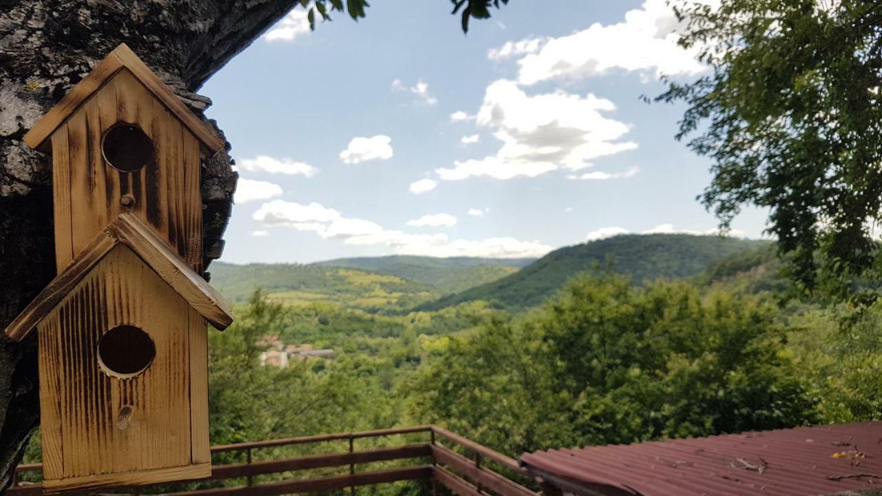 Rosarium Residence Guest House Dryanovo (Gabrovo) Exterior photo