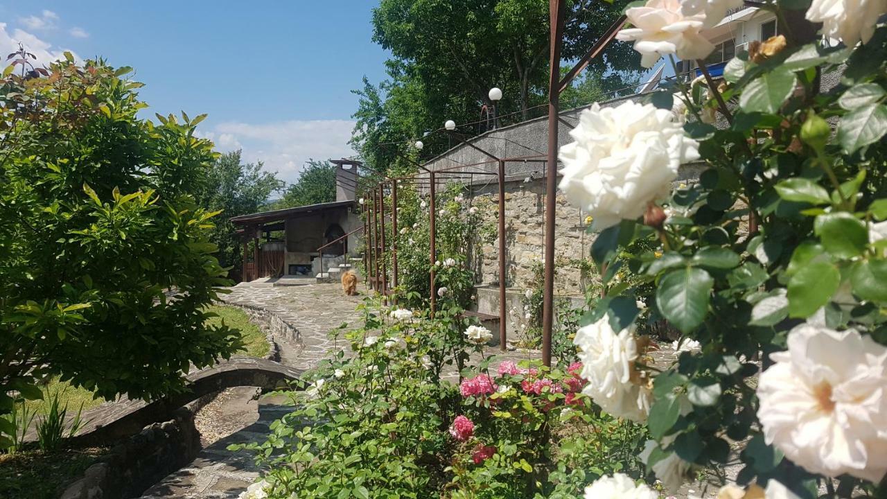 Rosarium Residence Guest House Dryanovo (Gabrovo) Exterior photo